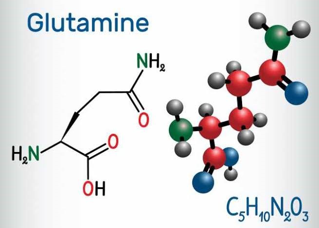 グルタミンの構造